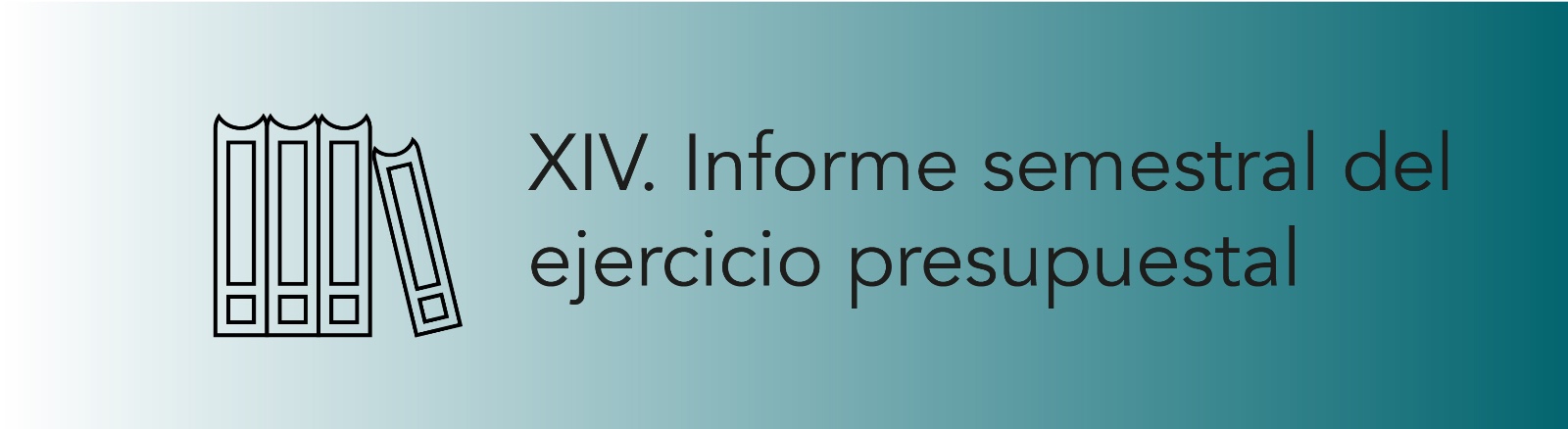 Imagen que permite conocer el Informe semestral del ejercicio presupuestal