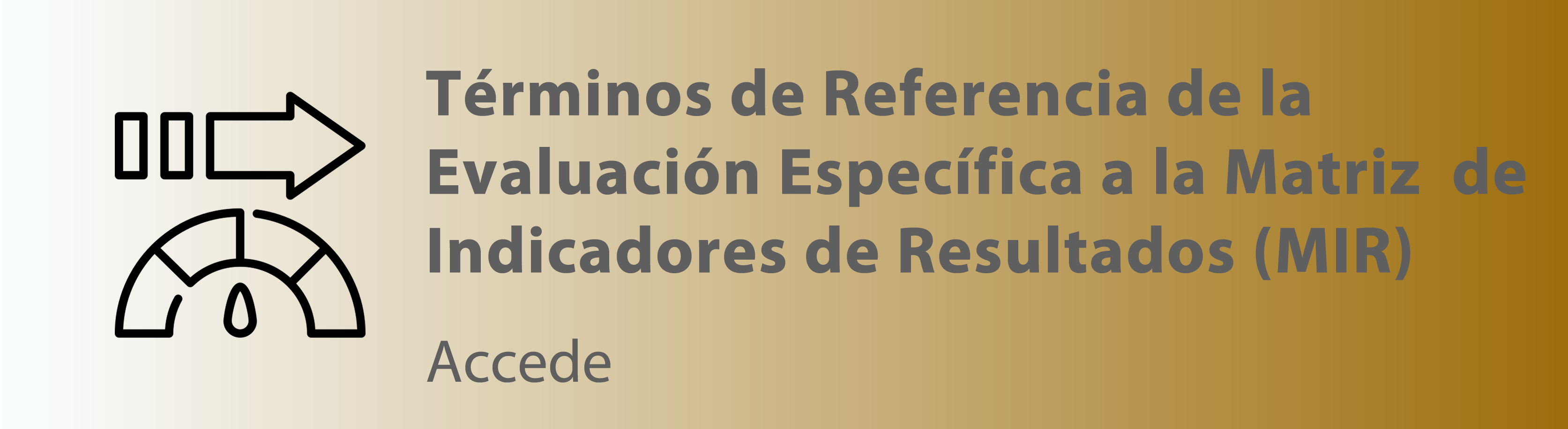 Imagen que te permite consultar información referente a Términos de Referencia de la Evaluación Específica a la Matriz de Indicadores de Resultados (MIR)