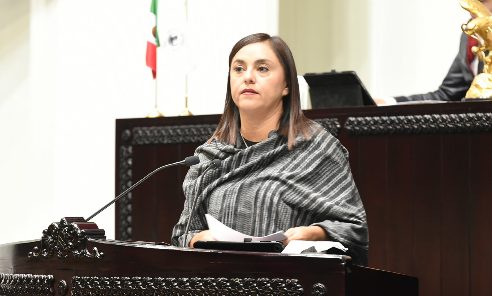 imagen que te permite ver a los Diputados en Sesión